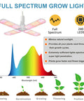 Diagram showing full spectrum LED grow light benefits for All-In-One 4x2 Ft Grow Tent System with growth stages and light spectrum chart