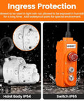 Beefy 2200lb Electric Lift Hoist for Garage Ceiling with IP54 hoist body and IP65 switch, featuring FEC chain