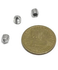 Three Sturdy 25 Pack 1/4-20 Hex Socket Grub Screws Set In 304 Stainless Steel with a coin for scale.