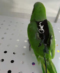 Soft Fleece Parrot Flight Harness Vest With 2 Meter Leash for Parakeets on green bird, back view on white surface