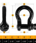Dimensions and close-up of Beefy Half Inch D Ring Bow Shackle With Screw Pin Clevis Four Pack For Jeeps ATVs Trucks And Trailers 2 Ton Working Load Limit Heavy Duty Recovery Gear