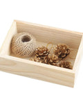 Dope Wooden Succulent Planter Box For Indoor Outdoor Use 7.5 Inch By 5 Inch By 2.4 Inch with pine cones and jute twine inside