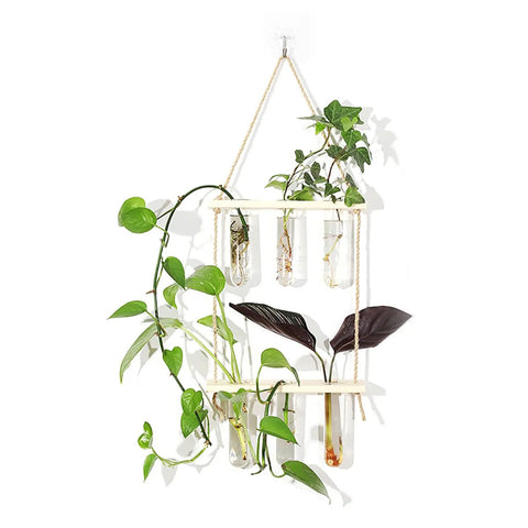 Wall Mounted Water Culture Plant Station With Wooden Bracket And Glass Tube Vases For A Boss Home Office Vibe, Easy Indoor Garden