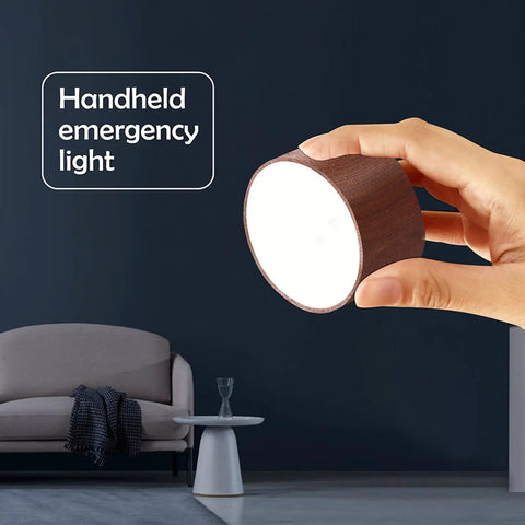 Solid Wood Wall Sconce Lamp With Magnetic 360 Degree Rotation, cordless LED held in hand, living room setting