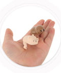 Hand holding silicone animal shape corner protectors, part of Four Pack Silicone Animal Shape Corner Protectors For Furniture Anti Collision Edge Guards Easy To Install No Tools Needed Kid Safe Baby Proofing Bumpers For Tables Desks And Cabinets Durable And Safe.