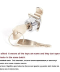 Industrial Cam Lock Kit for Cabinets and Control Panels with Key Alike MA102 H showing keys and locking mechanism