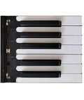 Replacement 12 Key Piano Keyboard Set For Digital Pianos With 7 White Keys And 5 Black Keys Perfect Repair Part For P Series DGX