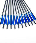 Carbon Arrow Set For Crossbow Hunting 20 Inch Bolts With Four Inch TPU Vanes And Replaceable Arrowhead Tips 12 Pack