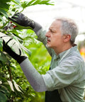 Man pruning plants wearing Cut Resistant Arm Sleeves With HPPE Tough As Nails Protection Bite Proof Anti Abrasion Shield 45cm