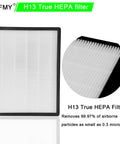 H13 True HEPA filter showing pleated design and frame, removes 99.97% of airborne particles as small as 0.3 microns.