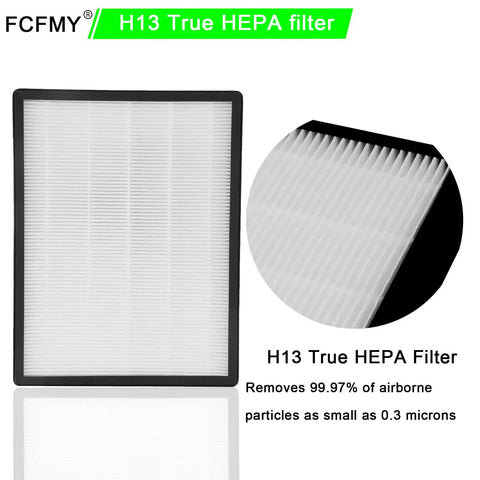 H13 True HEPA filter showing pleated design and frame, removes 99.97% of airborne particles as small as 0.3 microns.