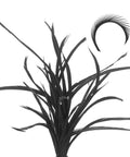 Bulk 30 Pcs Fly Tying Feathers With Colorful Stonefly Split Tails And Goose Biots For DIY Crafts, black feathers detail