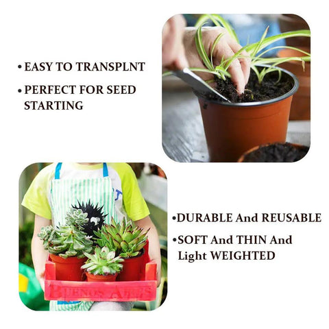 Hand using 100 Count 4 Inch Plastic Seed Starter Pots For Seedlings Cuttings And Transplants, with succulents in a bright room.
