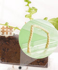 Kid Friendly Plant Growth Kit With Transparent Window For Window Garden See Roots Grow Vegetable Plant Observation Box Educational Science Toy For Homeschool And Classrooms Ages 6 And Up, clear plastic planter with soil and sprout