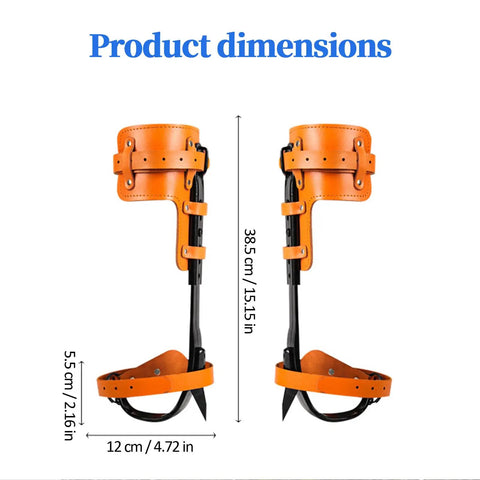 Heavy Duty Tree Climbing Spikes Gear Set dimensions with cowhide straps and stainless steel claws for logging and hunting