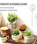 Clear Plant Watering Globes Set Of 10 Self Watering Bulbs for indoor and outdoor plants with succulents in pots