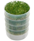 Four Tray Sprouter Set With BPA Free Plastic Trays Stackable Sprouting System For Easy Home Grown Sprouts Grow Multiple Varieties At Once Like A Pro Durable And Simple To Use For Quick Kitchen Garden Wins