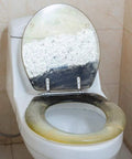 Beautiful Dolphin Toilet Seat With Soft Close Lid And Quick Release Hinges For Super Easy Daily Cleanup And A Total Bathroom Upgrade That Honestly Hits Different on a toilet with visible wear.