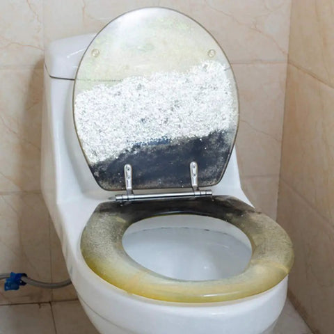 Beautiful Dolphin Toilet Seat With Soft Close Lid And Quick Release Hinges For Super Easy Daily Cleanup And A Total Bathroom Upgrade That Honestly Hits Different on a toilet with visible wear.