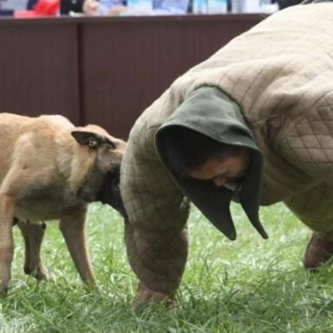 Durable Dog Training Suit For Bite Protection Unisex Protective Clothing in action with dog during bite work on grass