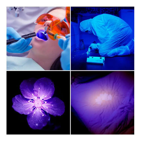 Pocket Size UV Black Light Flashlight With Zoomable 395 Nm Beam For Detecting Dog Urine And Dry Stains in various uses