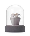 Sleek Velvet Earring Display Stand With Glass Lid Angled Jewelry Organizer For Earrings, 8x12 cm, gray holder showcasing earrings