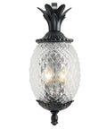 Lanai Collection Two Light Outdoor Wall Mount Lantern Matte Black Wet Location Exterior Fixture
