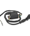 All In One ATV Ignition Coil Kit With 5 Pin AC CDI Box, Voltage Regulator, Solenoid Relay, Spark Plug, And Fuel Filter For 49cc to 110cc Chinese ATVs