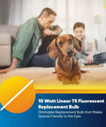 Technical Precision Replacement Light Bulb For F10T5 830 L Packaging with dog and family in background