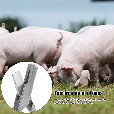 Stainless Steel Pig Ear Tag Pliers For Farm Animals Identification Tool V Shape Lightweight And Durable with pig herd in background