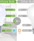 Comparison of unfused LED and traditional bulb, highlighting Brighten Your Fridge With No Fuss Install LED Refrigerator Light Bulb benefits.