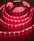 Infrared LED Light Strip 850nm 16.4ft DC12V Flexible 300 LEDs Cuttable Low Glow Wide Coverage Non Waterproof on reel