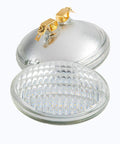 PAR36 LED Landscape Bulb 12V 12W 1280LM 6000K Water Resistant Flood Light showing front glass lens and metallic back