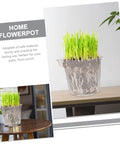 4 Pack Self Watering Flower Pots With Automatic Water Absorbing Design Easy Maintenance Planters For Healthy Plants Ideal Indoor Garden Pots For Home Office Or Apartment Decor, transparent plastic pot