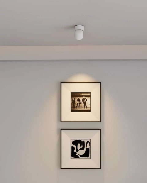4 Pack LED COB Adjustable Ceiling Spotlight Surface Mounted 7W 3000K Warm White Aluminum Spotlight illuminating artwork on wall