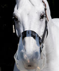 Close-up of a horse wearing a Turnout Halter For Grazing Muzzle Compatibility Safe Comfortable Adjustable Breakaway Horse Halter for Equine Use Cob Size.