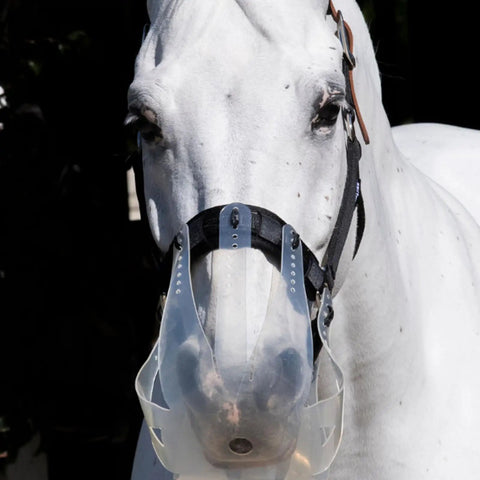 Close-up of a horse wearing a Turnout Halter For Grazing Muzzle Compatibility Safe Comfortable Adjustable Breakaway Horse Halter for Equine Use Cob Size.