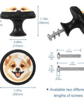 Four Piece Round Cabinet Knob Set For Kids Drawer Pulls With Screws Stylish Cupboard Handles For Home Kitchen Bath Dresser