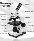 Diagram of All In One Compound Microscope Kit For Kids And Adults 100X To 2000X With Dual LED 4X 10X 40X objectives labeled parts