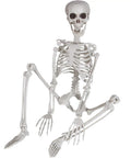 3 Foot Full Body Halloween Skeleton Decoration For Party And Haunted House, Totally Creepy Plastic Skeleton Prop, seated view
