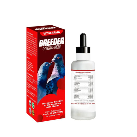 Multivitamin For Pigeons And Breeding Birds To Boost Fertility Improve Egg Quality And Energy Levels, 60ml bottle and box display