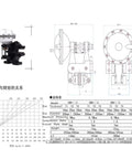 Vertical Pneumatic Disc Brake DBN 204 Industrial Unit showing detailed design specifications and dimensions.
