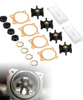 2-Pack Utility Pump Repair Kit For 1/10 HP And 1/12 HP Transfer Pumps With 4 Beefed-Up XNBR Impellers And Brass Hubs