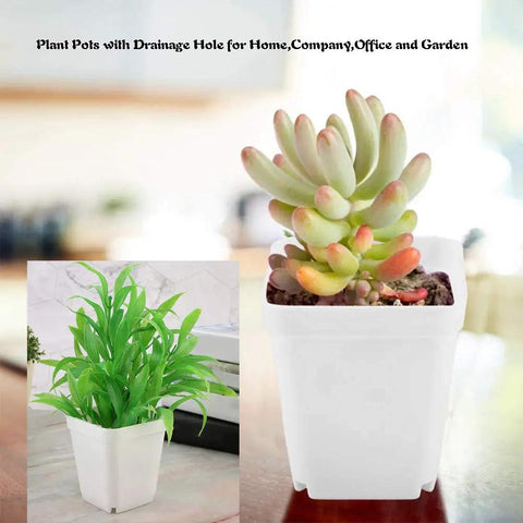 Set Of 24 White Square Plastic Plant Pots With Saucers 3 Inch Seedling Planters For Succulents And Flowers Drainage Holes Indoor Outdoor Garden Home Office Balcony Decor