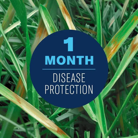 Fungus Control For Lawns Granules 10 Lb Covers 5,000 Sq Ft Delivers Up To 30 Days Of Disease Protection label on grass