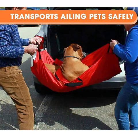 Heavy Duty Foldable Pet Stretcher With Secure Buckles Emergency Dog Carrier Transport Cot For Vet Runs Keeps Calm During Emergencies Supports 242 Pounds Solid As A Rock For Big Guys And Easy Hauling Red being lifted into a vehicle by two people.