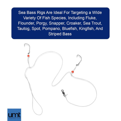 Hi Lo Fierce Series Sea Bass Rig Pack 10 Hand Tied Black 3/0 Baitholder Hooks With Beads 30Lb Mono Leader 36 Inch Dropper