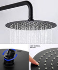Close-up of Matte Black Round Rain Shower System with handheld and wall mount; slick brushed nickel finish, spa vibe showerhead.