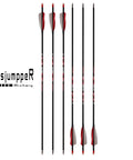 High Performance Carbon Arrows 400 Spine With Helical Feathers And Removable Tips For Archery Hunting And Target Shooting Pack Of 6