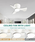 Small Ceiling Fan With Light Low Profile Flush Mount 3 Reversible Blades Matte Black 6 Speeds Quiet Motor 22 X 22 X 7.8 Inches Ideal For Kitchen Bedroom Dining Room Indoor Outdoor Patio Three Color Options displayed with warm, natural, and cold white light settings in a modern room.